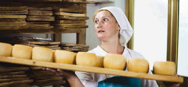 ХАССП на сыр ХАССП на сыр