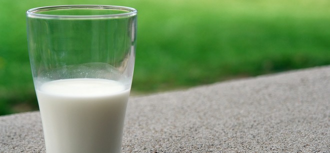 Нарушения в порядке декларирования молочной продукции обсудили на конференции сертификация молочной продукции